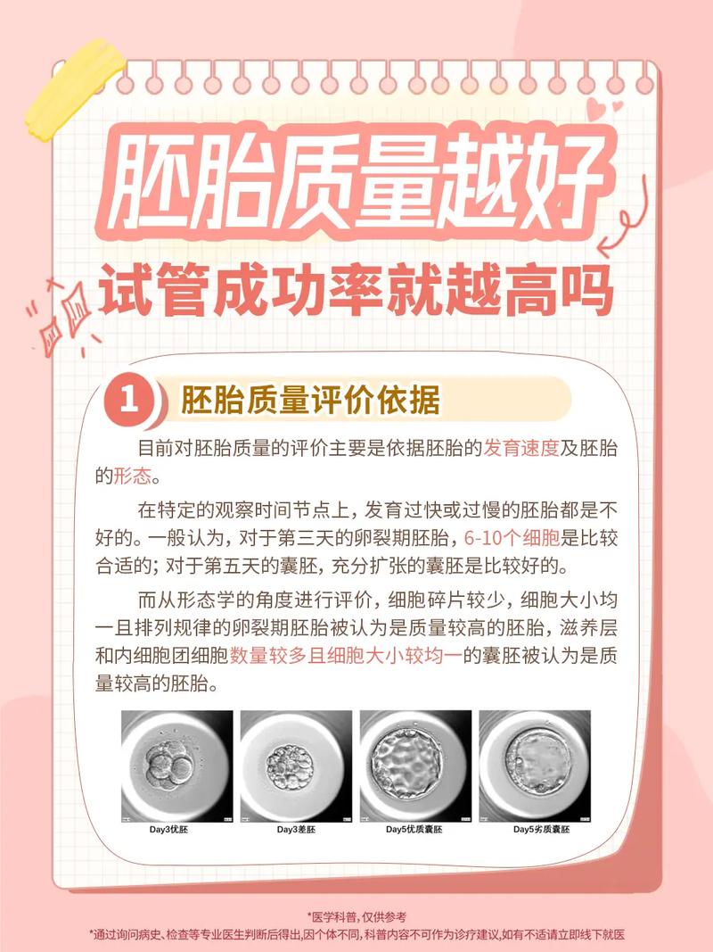 供卵试管的成功率高吗-供卵试管成功率高吗?