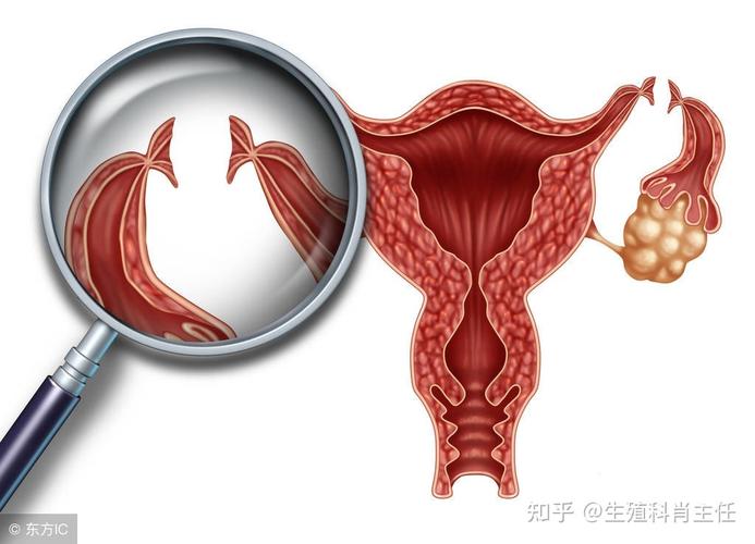 医院供卵流程【医院供卵流程解析及注意事项】