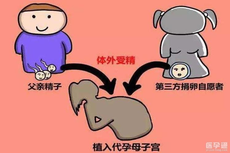 什么情况需要供卵(供卵:何时需要帮助?)